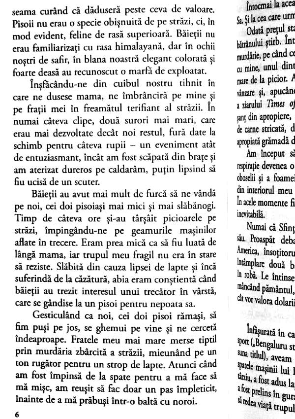 Pisica lui Dalai Lama - David Michie