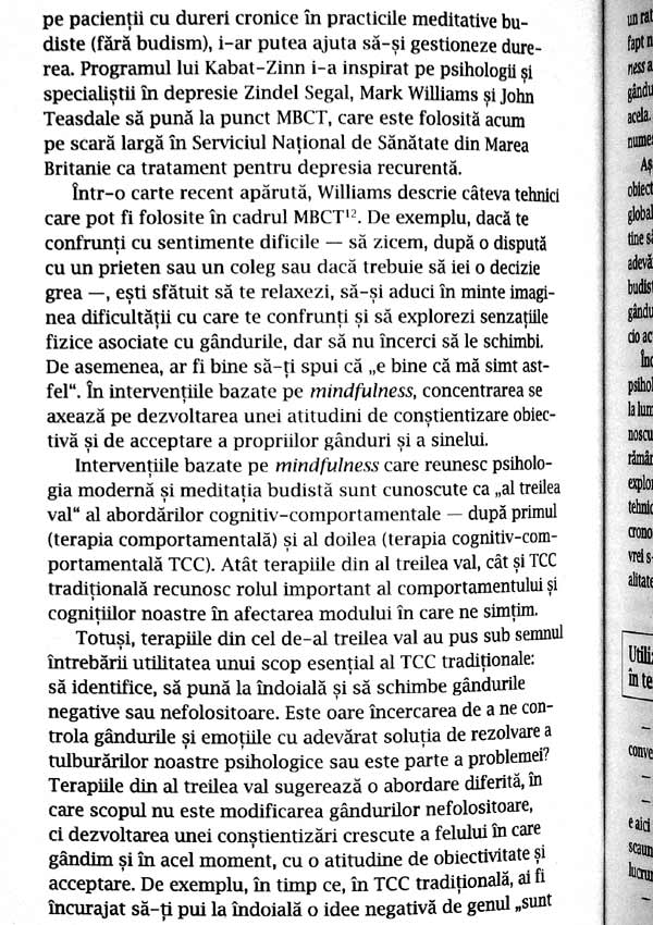 Pilula Buddha. Meditatie, yoga si schimbare personala - Miguel Farias