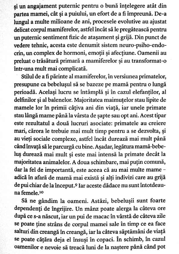 Scanteia creativa. Cum au devenit oamenii fiinte exceptionale datorita imaginatiei - Agustin Fuentes