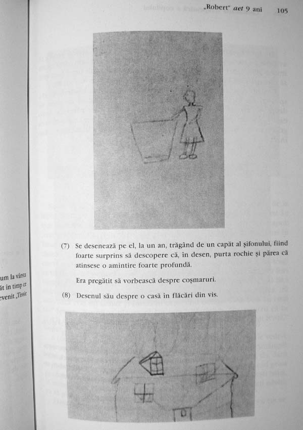 Consultatia terapeutica a copilului - Donald Woods Winnicott