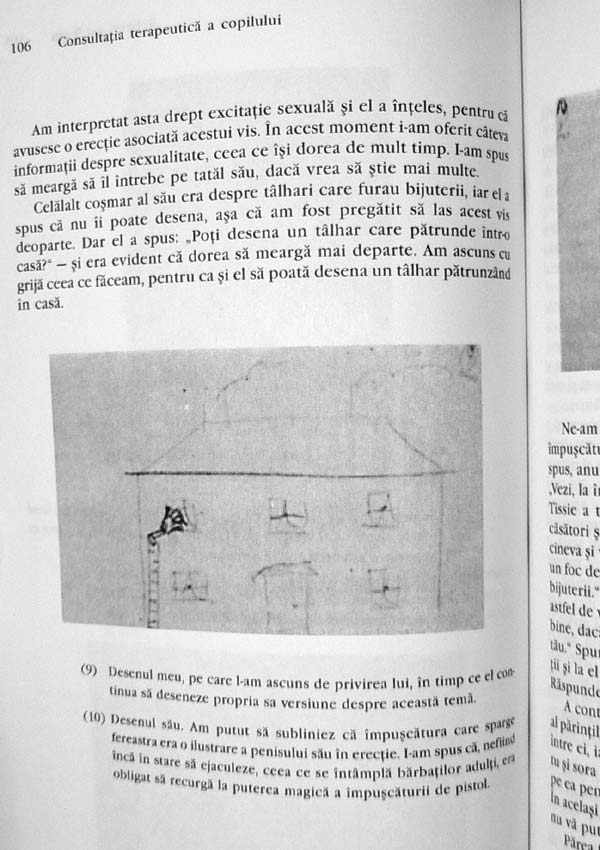 Consultatia terapeutica a copilului - Donald Woods Winnicott