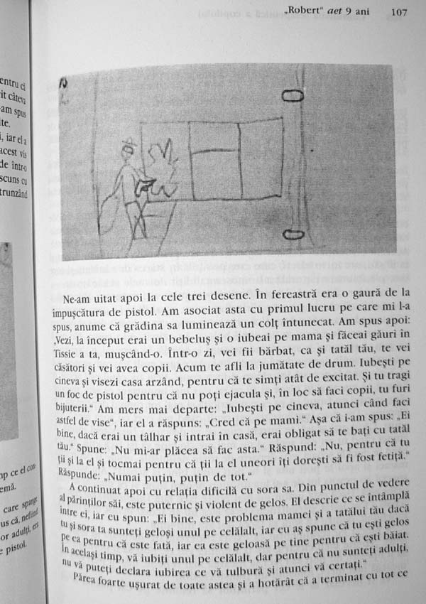 Consultatia terapeutica a copilului - Donald Woods Winnicott