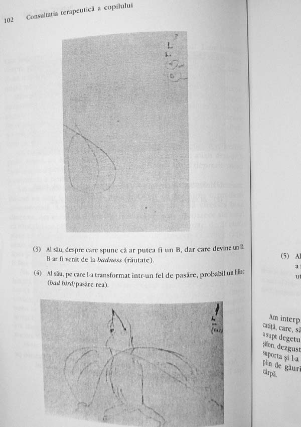 Consultatia terapeutica a copilului - Donald Woods Winnicott