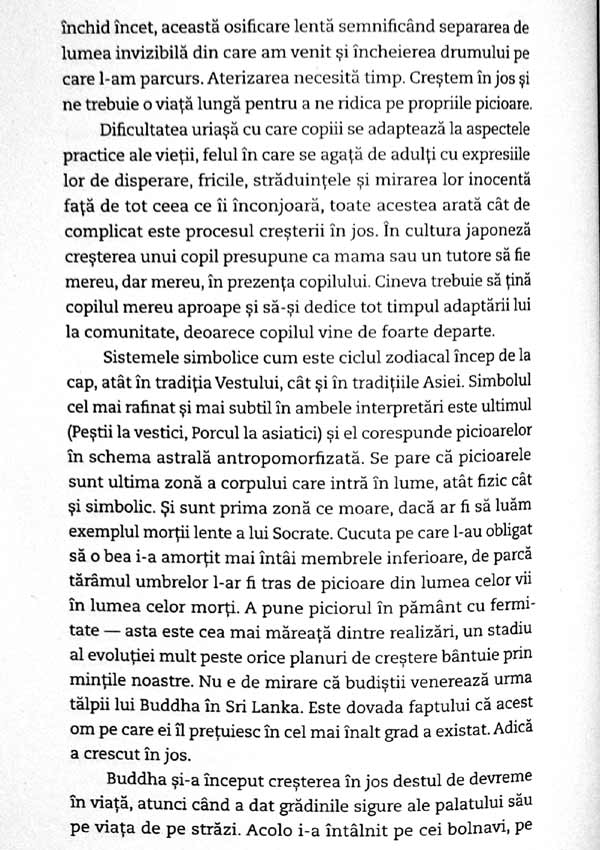 Codul sufletului. In cautarea caracterului si a vocatiei - James Hillman
