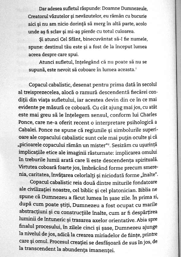 Codul sufletului. In cautarea caracterului si a vocatiei - James Hillman