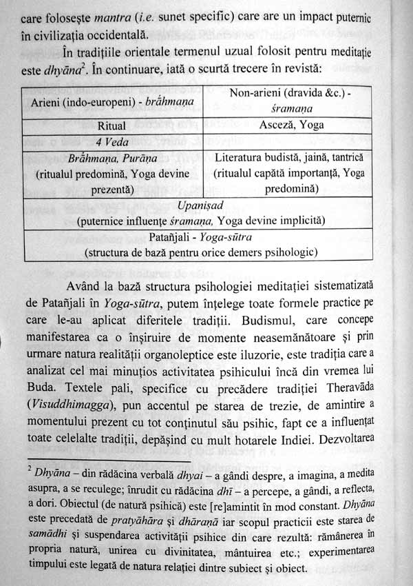 Mindfulness si optimizarea comportamentului profesional - Roxana F. Alecu
