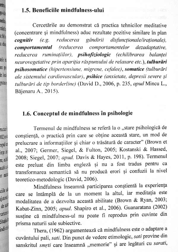 Mindfulness si optimizarea comportamentului profesional - Roxana F. Alecu