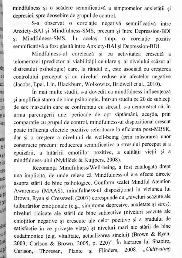 Mindfulness si optimizarea comportamentului profesional - Roxana F. Alecu
