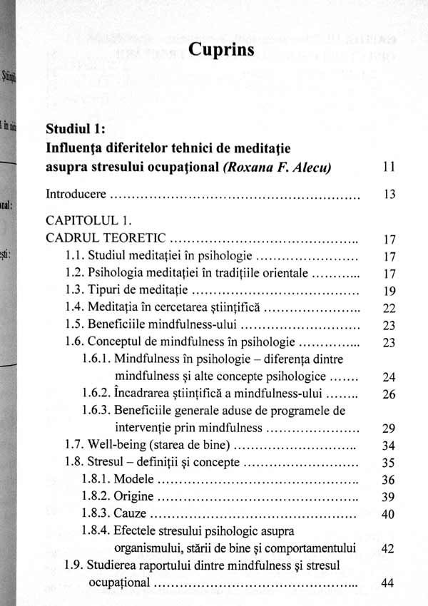 Mindfulness si optimizarea comportamentului profesional - Roxana F. Alecu