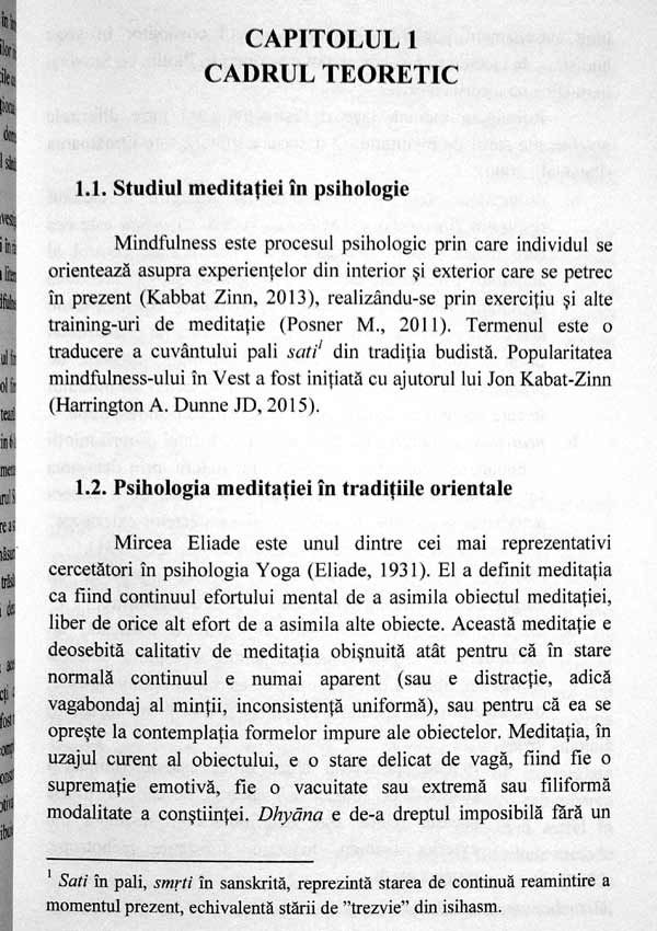 Mindfulness si optimizarea comportamentului profesional - Roxana F. Alecu