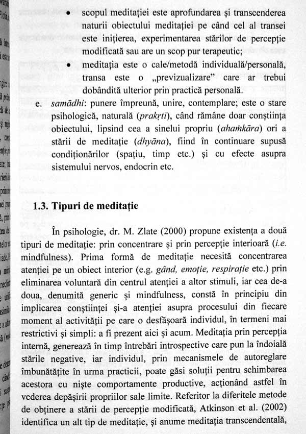 Mindfulness si optimizarea comportamentului profesional - Roxana F. Alecu