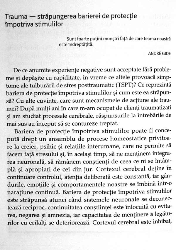 De ce este eficienta psihoterapia. Cum ne folosim mintea pentru a ne influenta creierul - Louis Cozolino