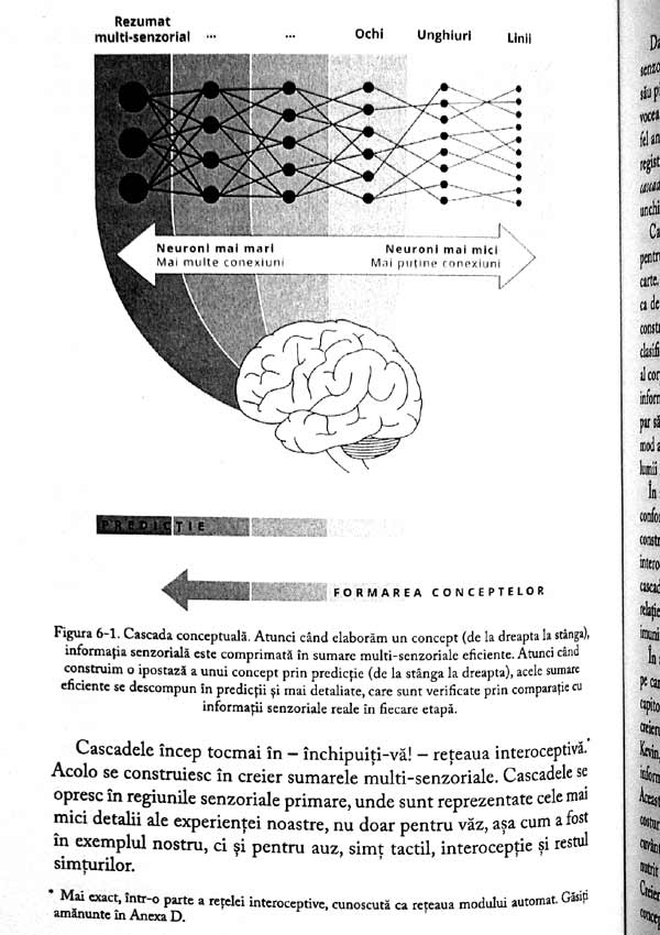 Cum iau nastere emotiile. Viata secreta a creierului - Lisa Feldman Barrett
