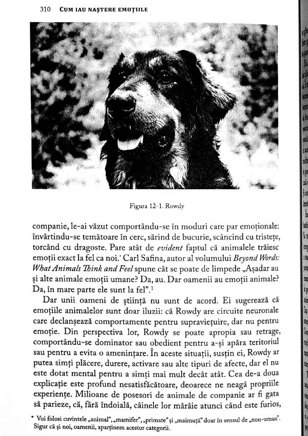 Cum iau nastere emotiile. Viata secreta a creierului - Lisa Feldman Barrett