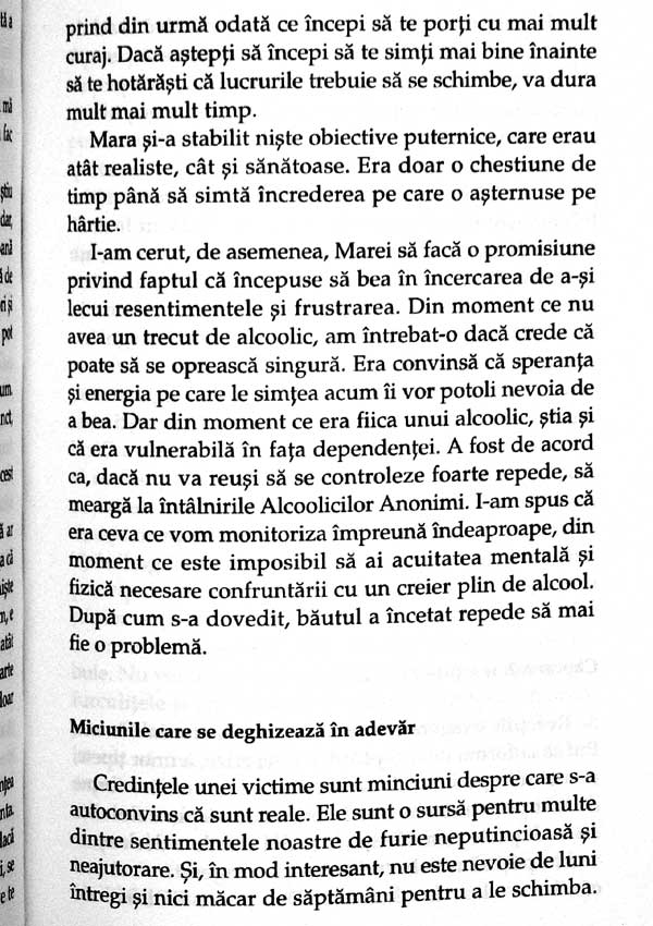 Socrii toxici. Strategii pentru protejarea casatoriei - Susan Forward