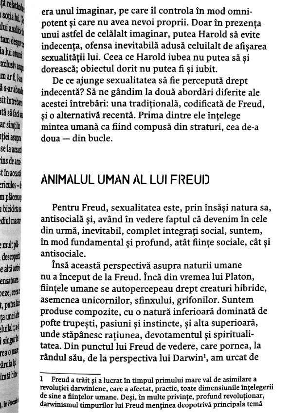 Iubirea poate dura? Soarta iubirii romantice de-a lungul timpului - Stephen A. Mitchell