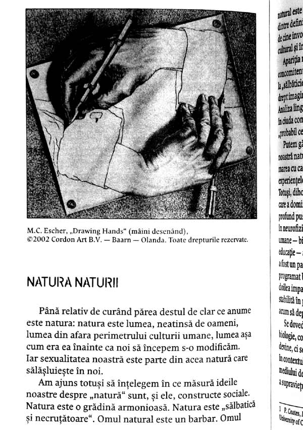 Iubirea poate dura? Soarta iubirii romantice de-a lungul timpului - Stephen A. Mitchell