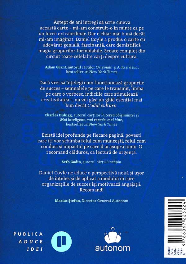 Codul culturii. Secretele grupurilor de mare succes - Daniel Coyle