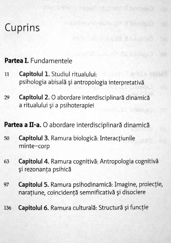 Simboluri vindecatoare in psihoterapie - Erik D. Goodwyn