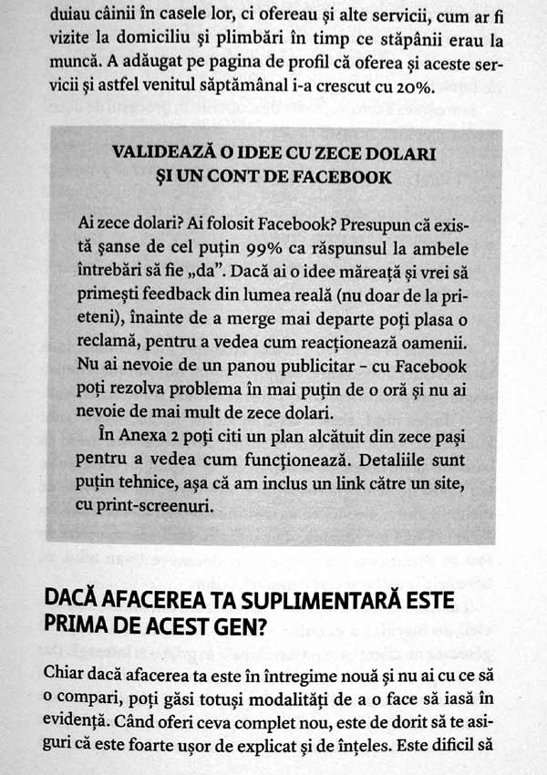 Bani extra job. De la idee la venit in 27 de zile - Chris Guillebeau