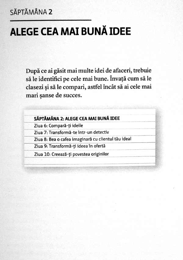 Bani extra job. De la idee la venit in 27 de zile - Chris Guillebeau