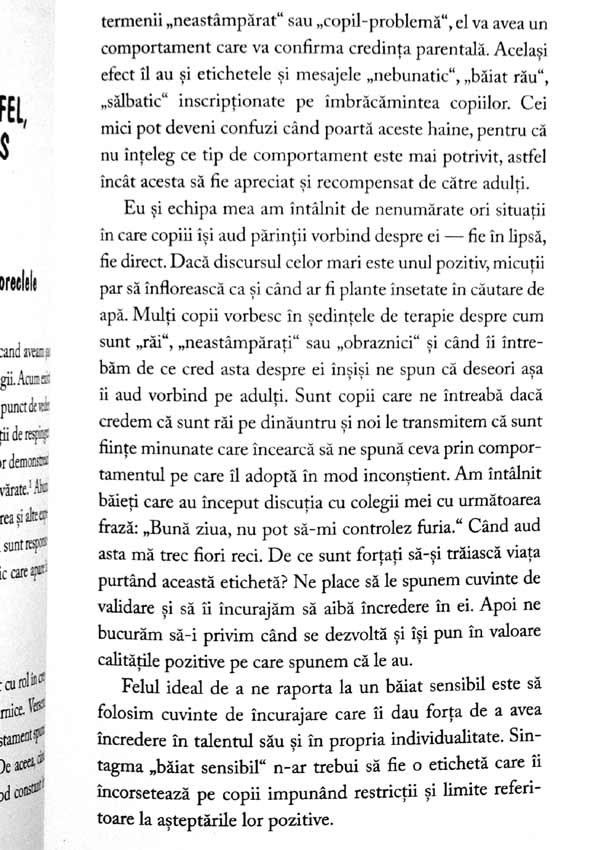 Baietii sensibili: cum sa devina mai puternici - Betsy de Thierry