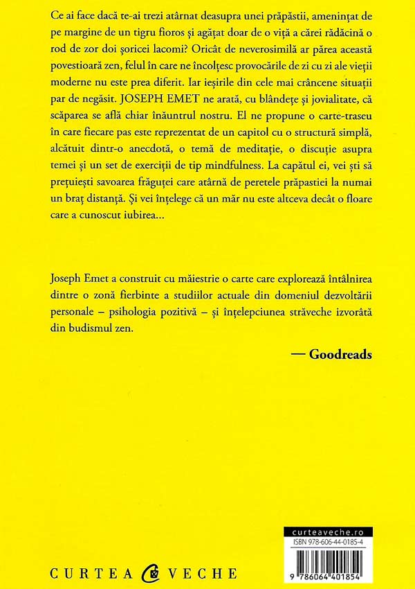 Cautarea cerului albastru. Mindfulness pentru fericire aici si acum - Joseph Emet