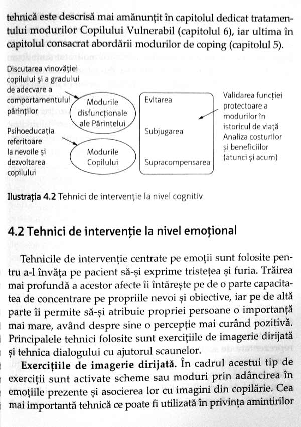 Terapia schemelor. Ghid practic - Gitta Jacob