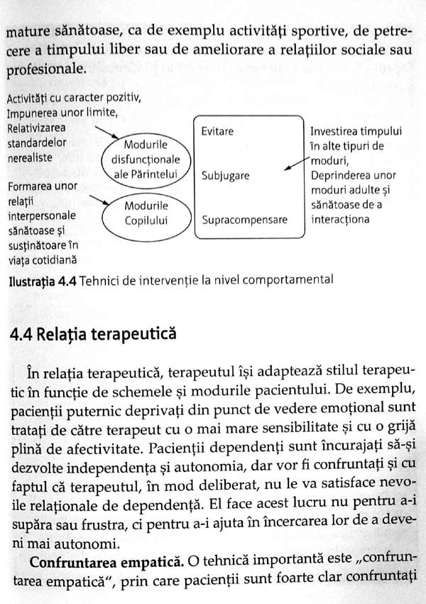 Terapia schemelor. Ghid practic - Gitta Jacob