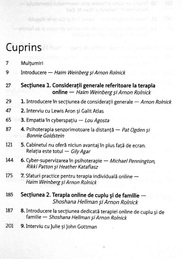 Psihoterapia online. Teorie si practica - Haim Weinberg
