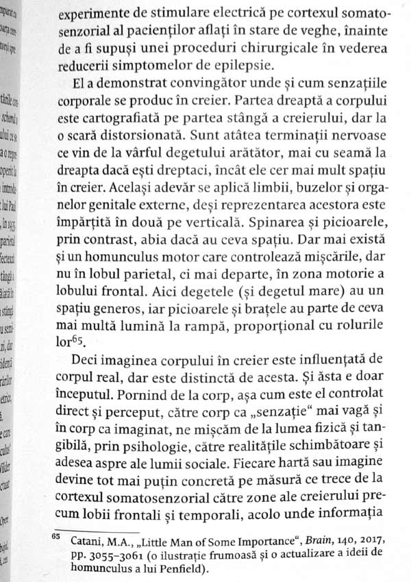 In abis. Insemnarile unui neuropsihiatru despre tulburarile mintii - Anthony David