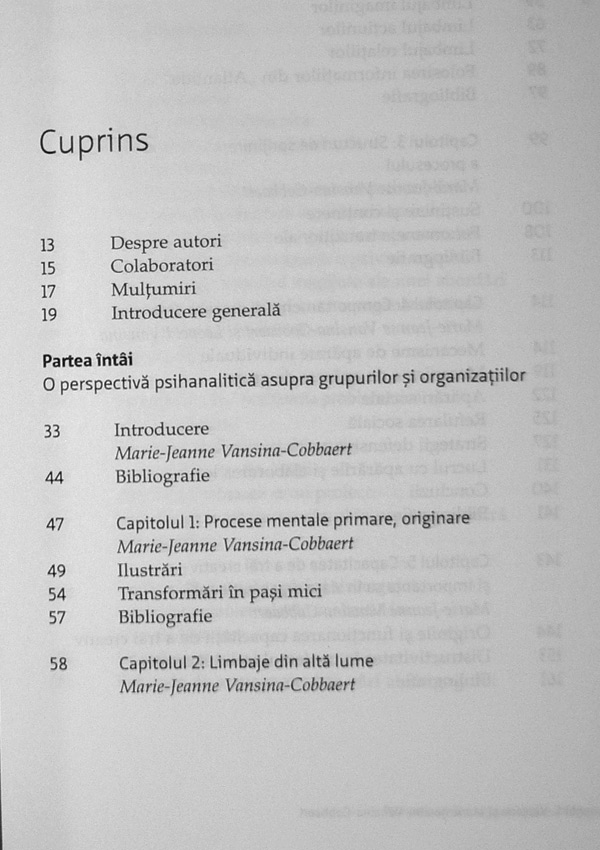 Psihodinamica organizatiilor. De la intelegere la conducere - Leopold S. Vansina