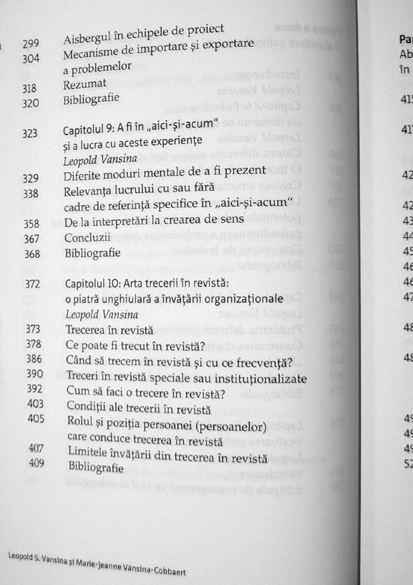 Psihodinamica organizatiilor. De la intelegere la conducere - Leopold S. Vansina