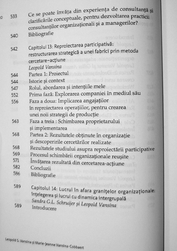 Psihodinamica organizatiilor. De la intelegere la conducere - Leopold S. Vansina