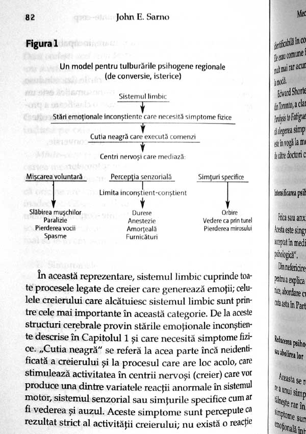Reteta pentru minte si corp. Cum sa vindeci durerile trupului - John E. Sarno