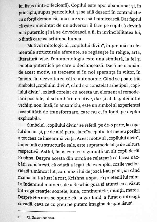 Dinamica simbolurilor. Elemente fundamentale ale psihoterapiei jungiene - Verena Kast