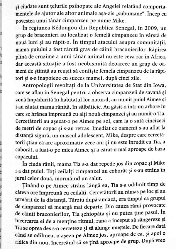 Cum sa-l tii la respect pe psihopatul de alaturi. Invata sa te protejezi de manipulatorii nemilosi - Martha Stout