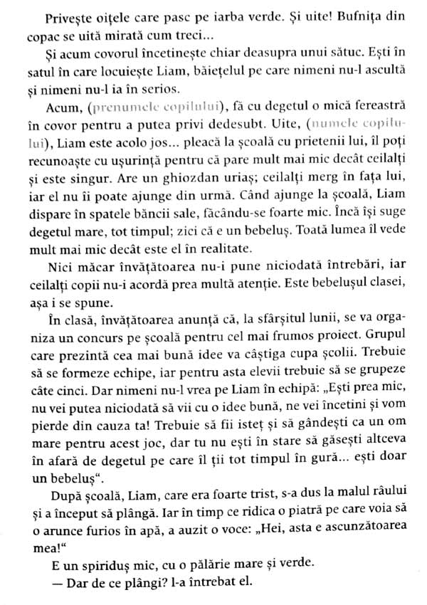 Povestioare terapeutice inainte de culcare. Ajuta-ti copilul sa faca fata schimbarilor si sa se maturizeze - Sabrina Feret-Hubert