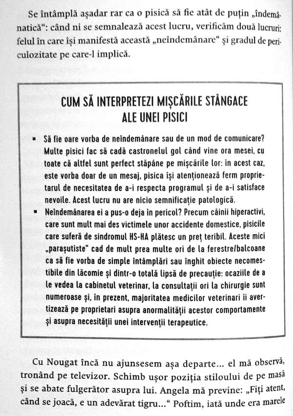 Nebuni dupa pisicile noastre nebune - Claude Beata