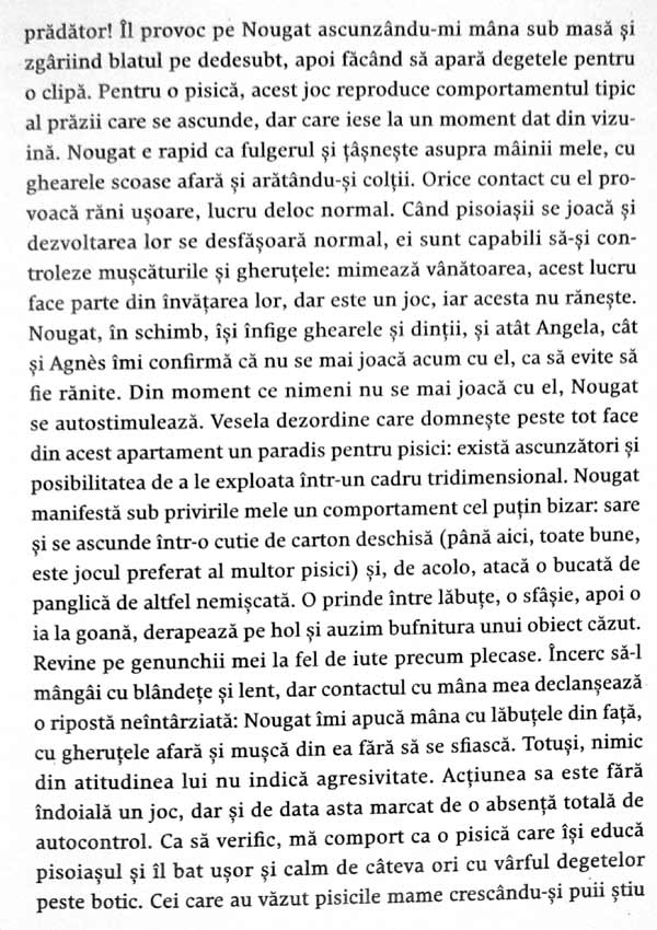 Nebuni dupa pisicile noastre nebune - Claude Beata