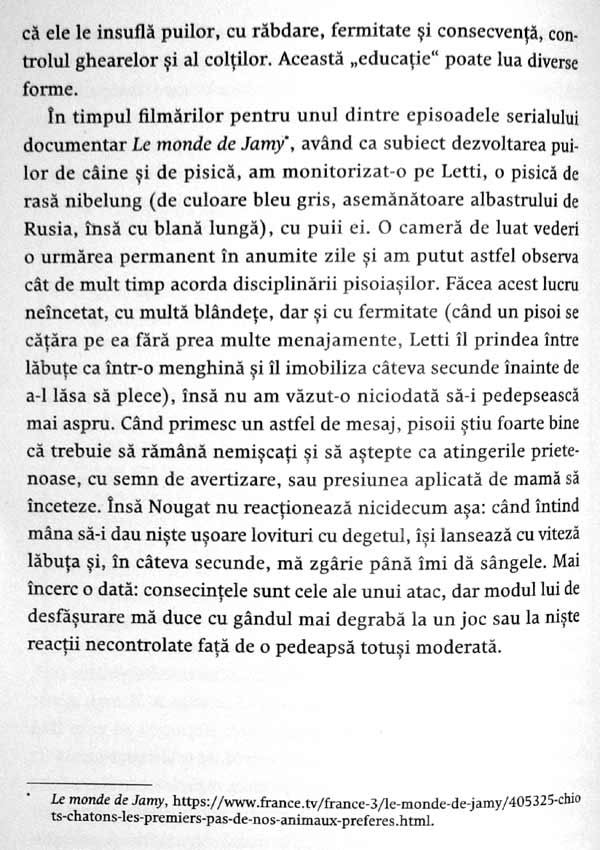 Nebuni dupa pisicile noastre nebune - Claude Beata