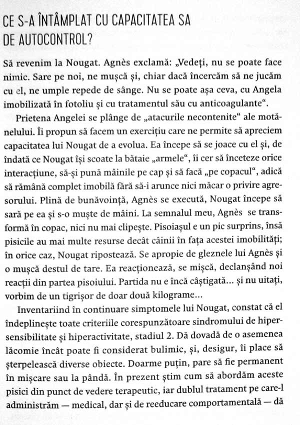 Nebuni dupa pisicile noastre nebune - Claude Beata