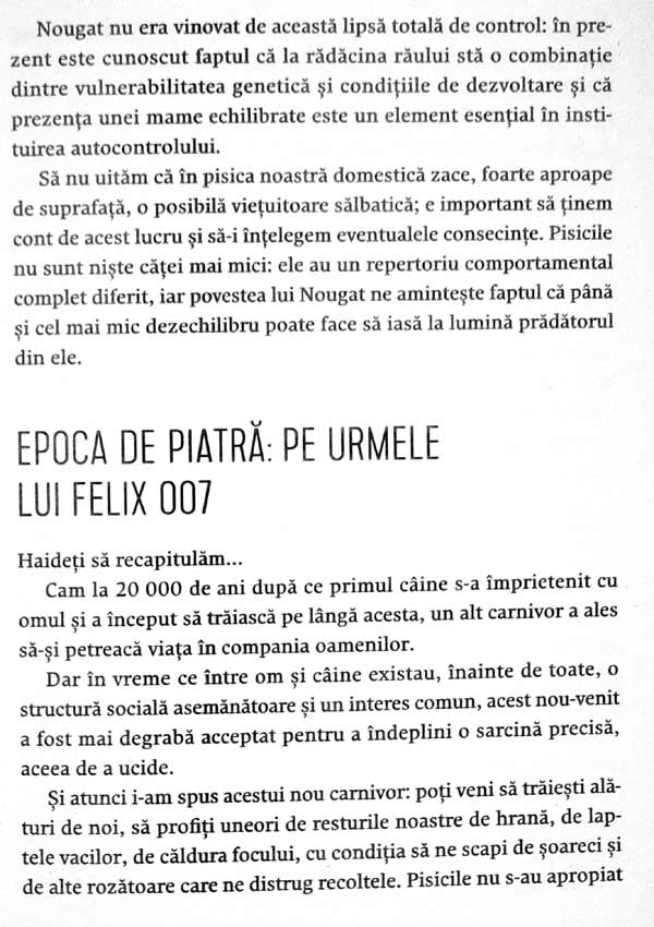 Nebuni dupa pisicile noastre nebune - Claude Beata