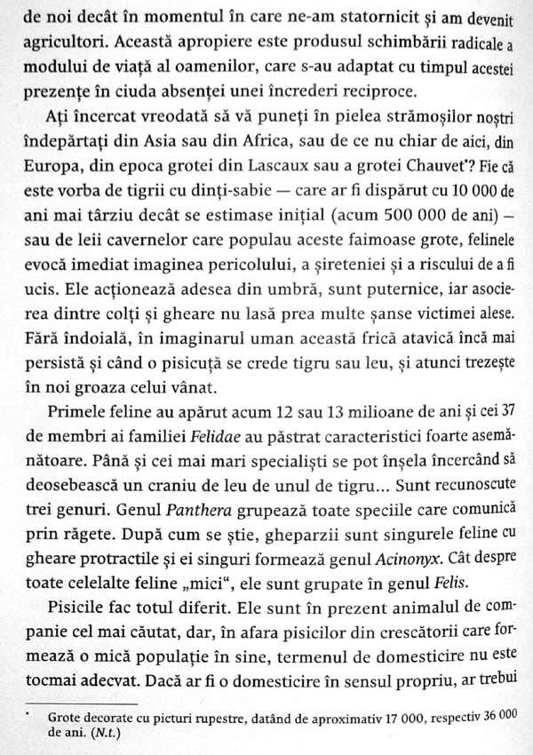 Nebuni dupa pisicile noastre nebune - Claude Beata