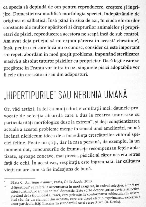 Nebuni dupa pisicile noastre nebune - Claude Beata