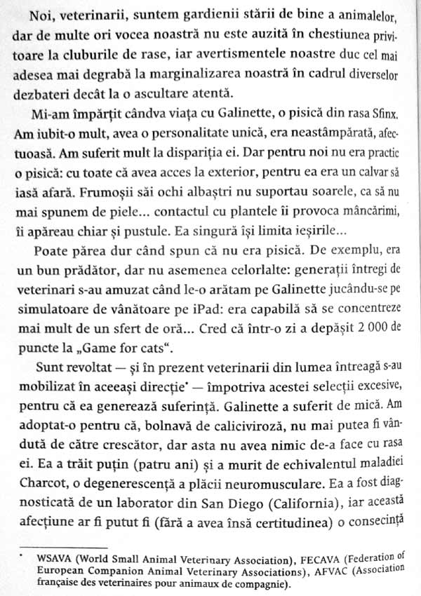 Nebuni dupa pisicile noastre nebune - Claude Beata