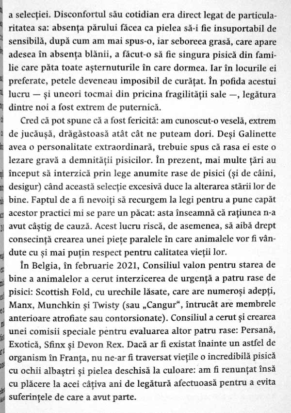 Nebuni dupa pisicile noastre nebune - Claude Beata