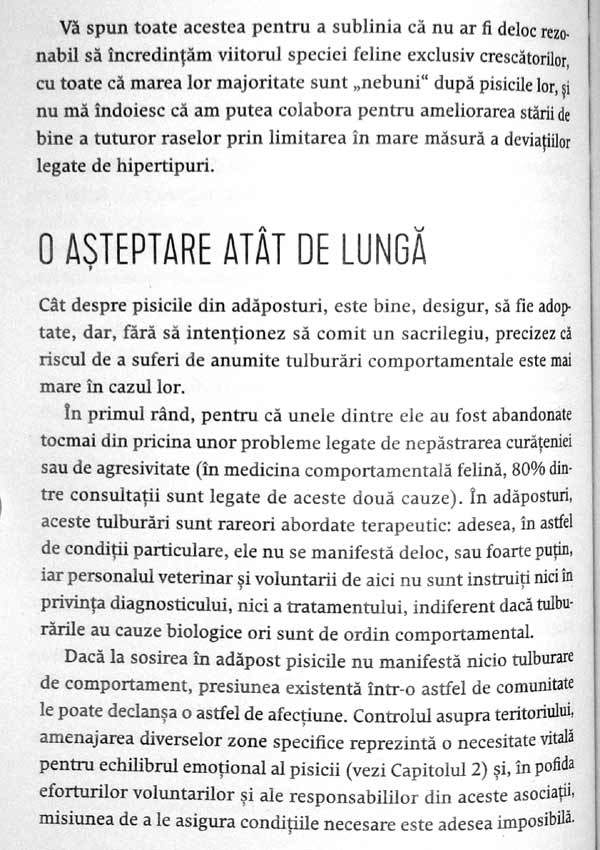 Nebuni dupa pisicile noastre nebune - Claude Beata