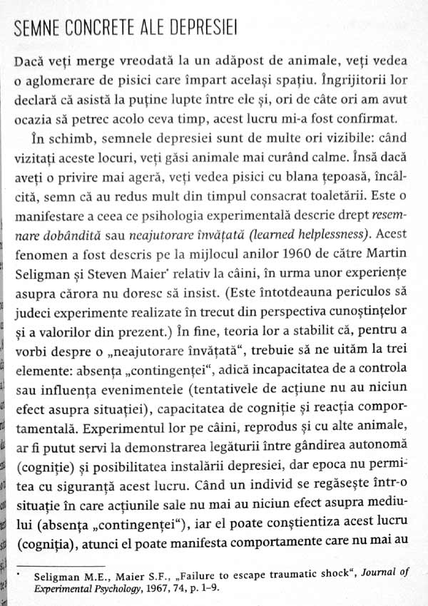 Nebuni dupa pisicile noastre nebune - Claude Beata