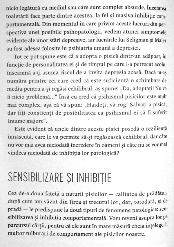 Nebuni dupa pisicile noastre nebune - Claude Beata